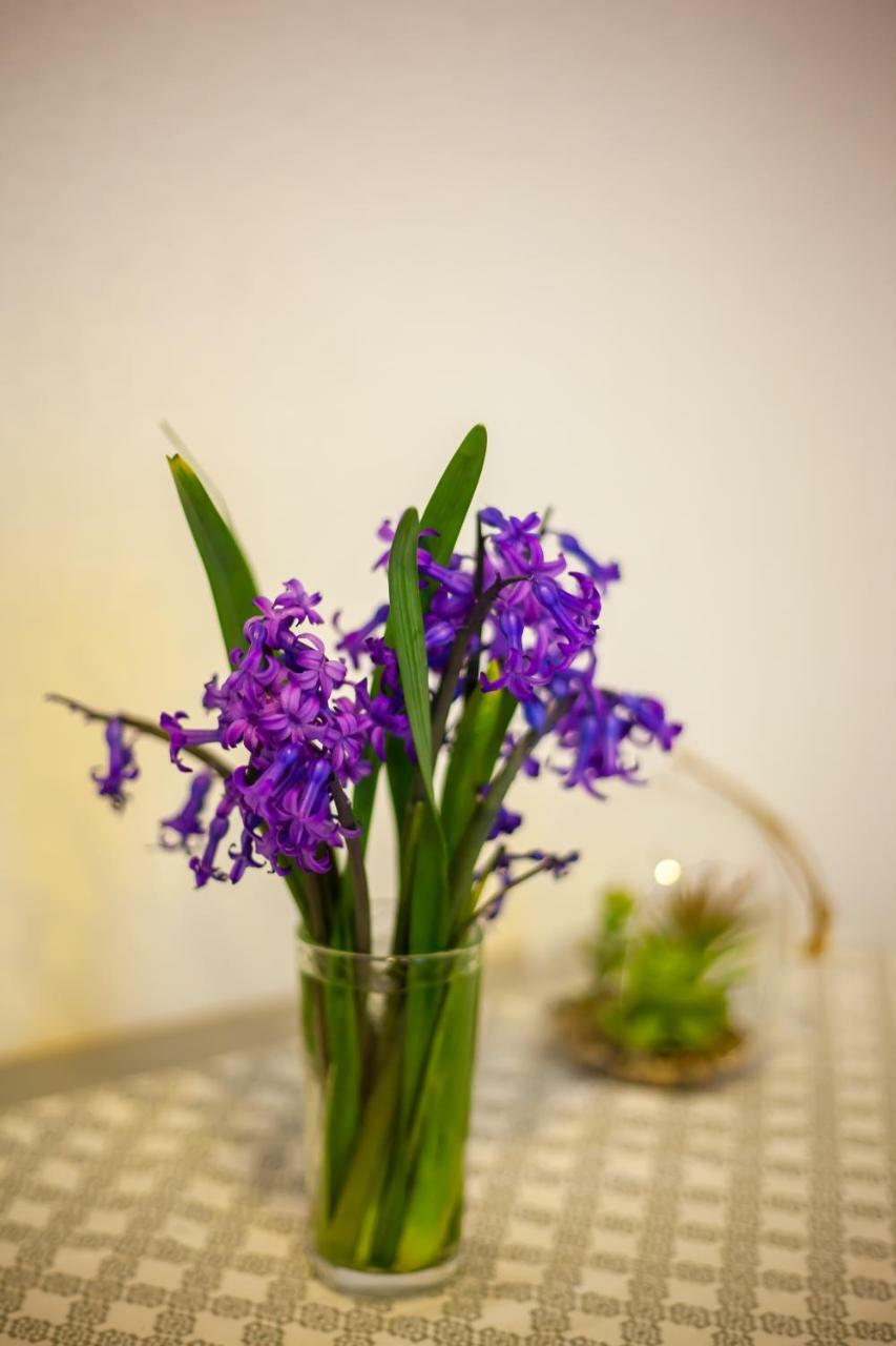 Artemida Apartment Tbs Тбілісі Екстер'єр фото